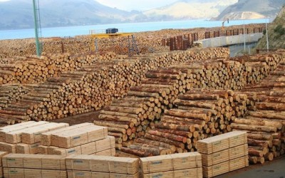 Export of timber from Russia to Europe